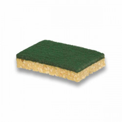 Tampon vert sur éponge végétale X10- Medium